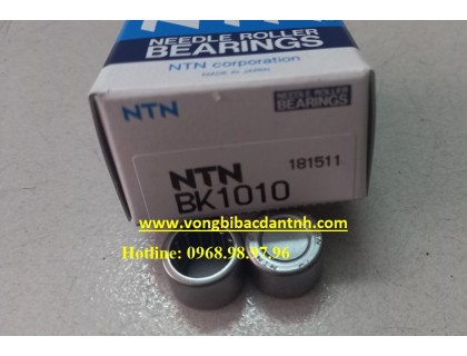 BẠC ĐẠN BK10110 NTN